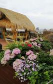 Туры в отель Lin'an SSAW Boutique Hotel