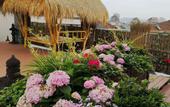 Туры в отель Lin'an SSAW Boutique Hotel