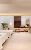 Туры в отель The Xon Hotel