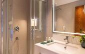 Туры в отель The Xon Hotel