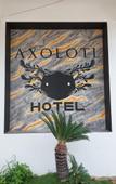 Туры в отель Hotel Axolotl