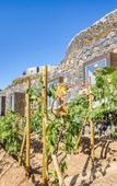 Туры в отель Socalco Nature Calheta