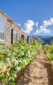 Туры в отель Socalco Nature Calheta