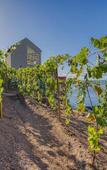 Туры в отель Socalco Nature Calheta