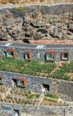Туры в отель Socalco Nature Calheta