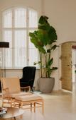 Туры в отель Wilmina Hotel