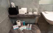 Туры в отель The Signature Serviced Suites Puchong