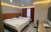 Туры в отель Temel Park Otel