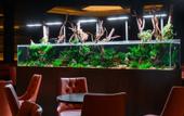 Туры в отель Minaro Hotel Tokaj - MGallery Collection