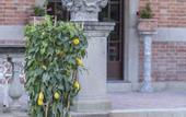 Туры в отель The Rif - Boutique Hotel