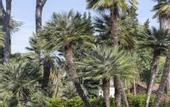 Туры в отель The Rif - Boutique Hotel