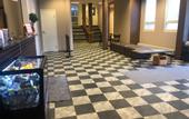 Туры в отель West Side Hotel