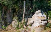 Туры в отель Fivitel Cong Troi Dong Giang