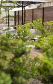 Туры в отель Capital Luxury Suites
