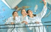 Туры в отель Hotel Niccolo V 4S - Terme dei Papi