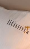 Туры в отель Litium 3