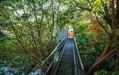 Туры в отель Peniche Carpe Diem La Riviere House