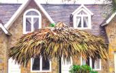 Туры в отель Ninh Binh Sona Resort