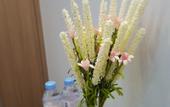 Туры в отель Fasy Hotel