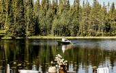 Туры в отель Magical Pond Nature Igloos