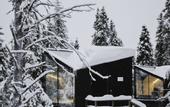 Туры в отель Magical Pond Nature Igloos