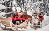 Туры в отель Magical Pond Nature Igloos