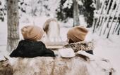 Туры в отель Magical Pond Nature Igloos