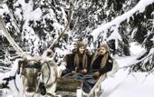 Туры в отель Magical Pond Nature Igloos