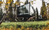 Туры в отель Magical Pond Nature Igloos