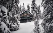 Туры в отель Magical Pond Nature Igloos