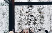 Туры в отель Magical Pond Nature Igloos