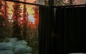 Туры в отель Magical Pond Nature Igloos