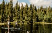 Туры в отель Magical Pond Nature Igloos