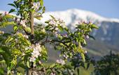 Туры в отель B&B Hotel Sonneck