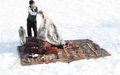 Туры в отель Kristiania