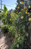 Туры в отель Cozy Bedrooms Guest House