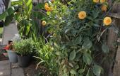 Туры в отель Cozy Bedrooms Guest House