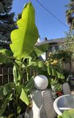 Туры в отель Cozy Bedrooms Guest House