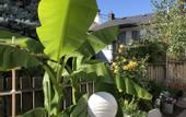 Туры в отель Cozy Bedrooms Guest House