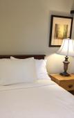 Туры в отель Cozy Bedrooms Guest House