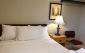 Туры в отель Cozy Bedrooms Guest House