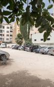 Туры в отель Hotel Rif