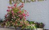 Туры в отель Landgasthof Hasenstrick