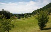 Туры в отель Landgasthof Hasenstrick