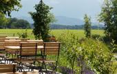 Туры в отель Landgasthof Hasenstrick