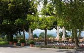 Туры в отель Landgasthof Hasenstrick