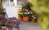 Туры в отель Hotel Liebetegger