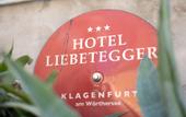 Туры в отель Hotel Liebetegger