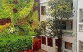 Туры в отель Vista del Angel Hotel Boutique