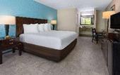 Туры в отель Travelodge by Wyndham Kingsland GA